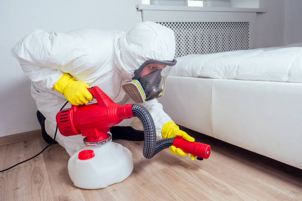 Professional Pest Control in Elmendorf, TX